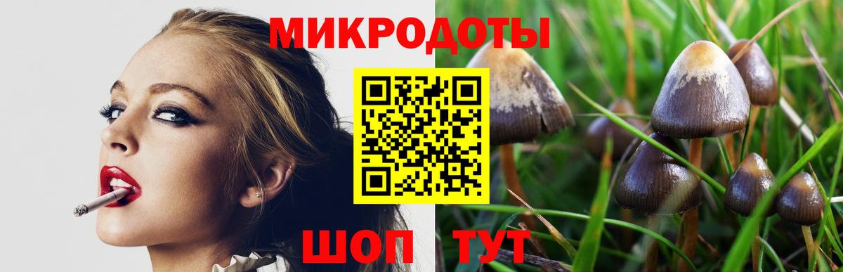 Псилоцибиновые грибы ЛСД  Вход с VPN  где найти   Гай 